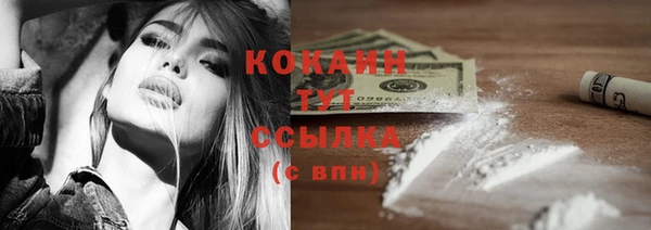 дживик Абинск