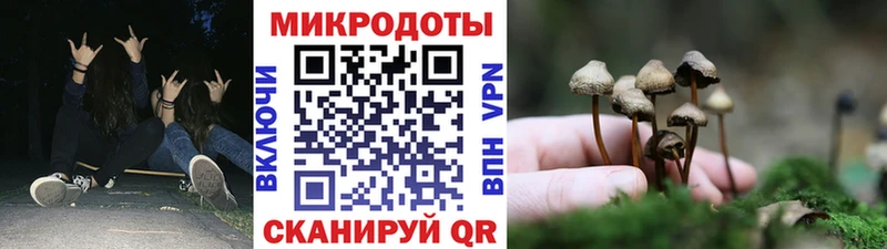 гидра рабочий сайт  Алейск  Псилоцибиновые грибы мицелий  где купить наркоту 