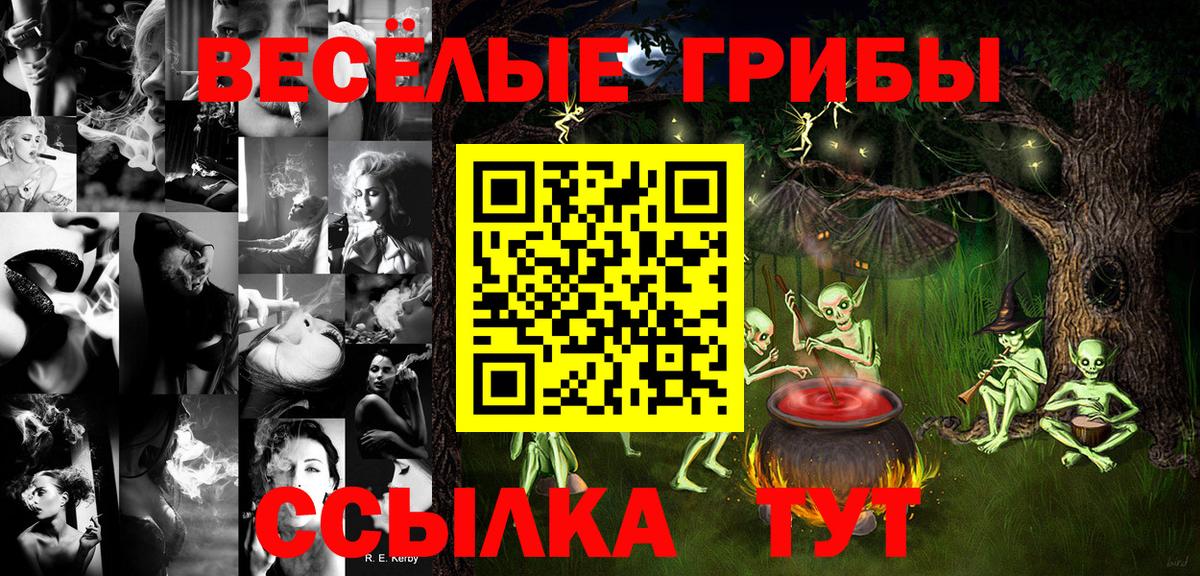 Псилоцибиновые грибы Psilocybe Алейск
